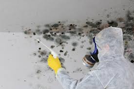 Forensic Mold Investigation in Ontonagon, MI